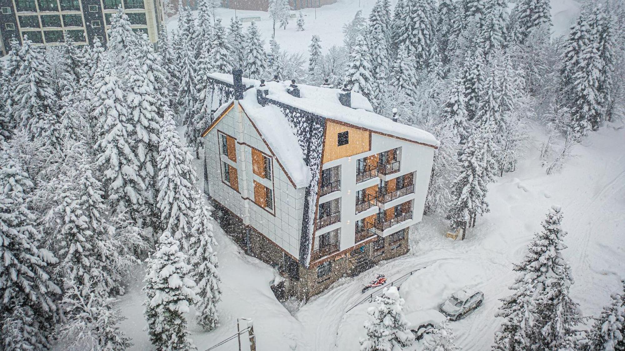 Forest Villa Goderdzi Extérieur photo