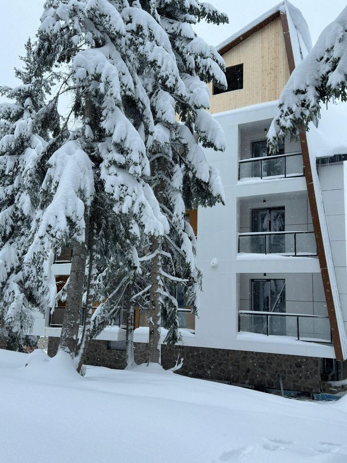 Forest Villa Goderdzi Extérieur photo